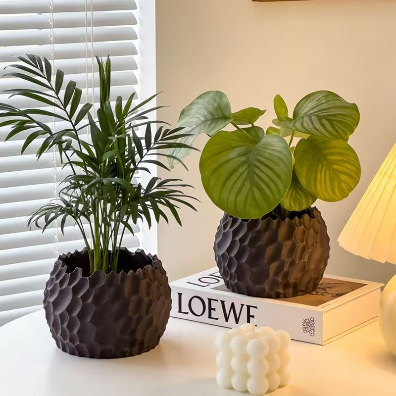 Gestructureerde bloempot met o - Echeveria Succulent recensie en prijs