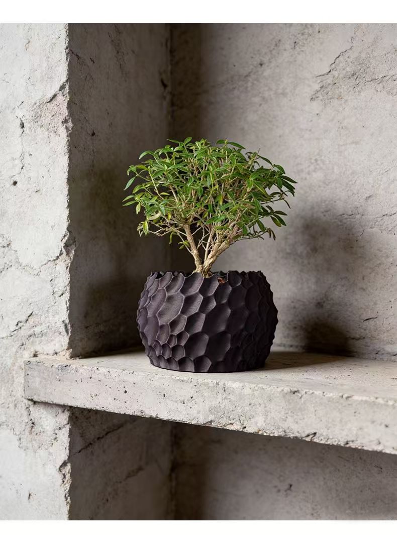 Gestructureerde bloempot met o - Echeveria Succulent recensie en prijs